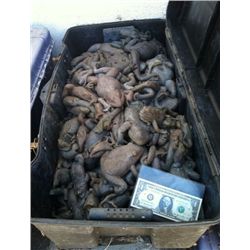 MAGNOLIA 65 POUND CASE OF FROGS SCREEN USED 3