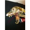 Image 2 : INVASION SCREEN USED ANIMATRONIC DOG PUPPET UNDER STRUCTURE HEAD AND TORSO