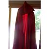 Image 1 : TWILIGHT SAGA NEW MOON SCREEN USED RED ITALIAN  FESTIVAL ROBE