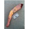 Image 1 : SEVERED ROTTEN ZOMBIE ARM SILICONE GORE CHEWED CHOPPED OFF FINGERS HORROR PROP