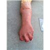 Image 3 : SEVERED ROTTEN ZOMBIE ARM SILICONE GORE CHEWED CHOPPED OFF FINGERS HORROR PROP