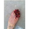Image 4 : SEVERED ROTTEN ZOMBIE ARM SILICONE GORE CHEWED CHOPPED OFF FINGERS HORROR PROP