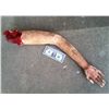 Image 2 : SEVERED SILICONE ARM BLOODY GORE ARMATURED HORROR PROP