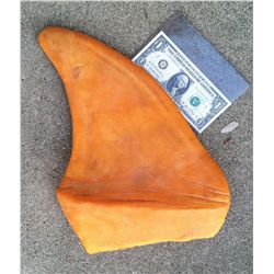 SHARK FIN LATEX CASTING HORROR PROP