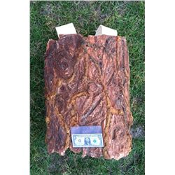 TREE BARK HAND CARVED FOAM WEARABLE COSTUME HORROR PROP