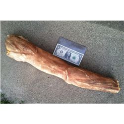 300 MOVIE SCREEN USED SEVRED DEAD SILICONE SPARTAN RIGHT ARM HORROR PROP