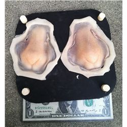 2 RABBIT RODENT NOSE UNUSED SILICONE APPLIANCES HORROR PROPS