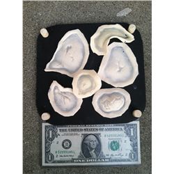 ZOMBIE ALIEN CREATURE UNUSED WOUND SCAR APPLIANCES HORROR PROPS 1