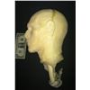 Image 2 : DARK MAN MUMMY ZOMBIE HEAD POLY FOAM CASTING HORROR PROP
