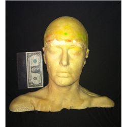 HEAD NECK RIGID FOAM SCULPTING BUST HORROR PROP