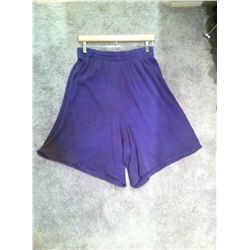 HULK DAVID BANNER ERIC BANHAS PURPLE SCREEN USED SHORTS