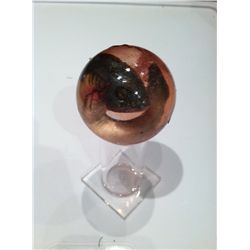 PIRANHA 3DD SCREEN USED BABY PIRANHA EGG WITH FETUS