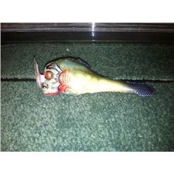 PIRANHA 3DD BABY FISH SCREEN USED IN OPENING OF FILM