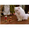 Image 2 : STEWART LITTLE SCREEN USED SNOWBELL THE CAT COLLARS