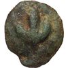 Image 2 : Greek.  Italy. Central Italy, uncertain mint.  Semuncia, circa 280-260 BC. Obv.: Bunch of grapes. Re