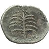 Image 2 : Greek.  Sicily. Motya.  Litra, 415-397 BC. Obv.: Head of Gorgoneion facing. Rev.: Palm tree. SNG ANS