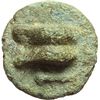 Image 2 : Roman Republican.    Roma/Roma with club series. Uncia, 230-226 BC. Obv.: Knucklebone. Club below. R
