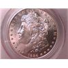 Image 1 : 1884-CC Morgan Dollar Ch MS64 PCGS