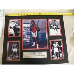 Muhammad Ali Autographed Mat With Certificate of Authenticity 20" x 16"
