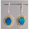 Image 1 : 1.32ct Opal and Diamond Earrings