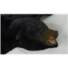 Image 3 : Bear rug
