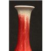Image 6 : Pair of Chinese red vases
