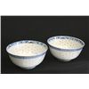 Image 1 : Set of 2 underglaze blue & white bowls