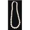 Image 1 : String of pearls with silver clasp
