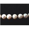 Image 3 : String of pearls with silver clasp