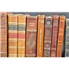 Image 7 : Lot of 18 leather books