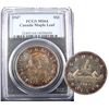 Image 1 : 1 Dollar 1947, PCGS MS-64; Maple Leaf. Lightly toned.