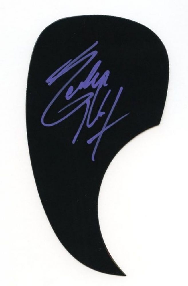 Eddie Money Signed Acoustic Guitar Pickguard (PA LOA)