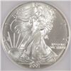 Image 2 : 2001 silver eagle  ICG69 est $45-$50