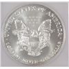 Image 3 : 2001 silver eagle  ICG69 est $45-$50