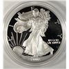 Image 2 : 2002 PROOF AMERICAN SILVER EAGLE WITH BOX/COA