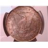 Image 2 : 1889 Morgan Dollar MS63 NGC