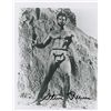 Image 1 : Steve Reeves