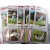 Image 3 : 1961 GOLDEN PRESS BASEBALL SET ALL PSA 8 & 9 (except one PSA 7)