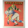 Image 8 : 8-1970 TOPPS FOOTBALL POSTERS
