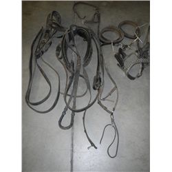 Head stall & harness