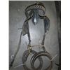 Image 2 : Head stall & harness