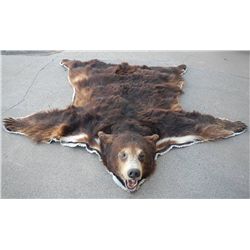 Black Bear Rug