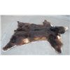 Image 3 : Black Bear Rug