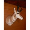 Image 3 : Antelope Mount