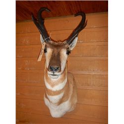 Antelope Mount
