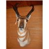 Image 1 : Antelope Mount
