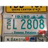 Image 3 : 9 State License Plates
