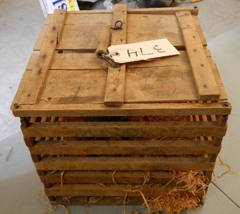 Antique Wood Chicken Crate with Top