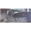 Image 3 : Len Chimel, Oil on Board
