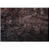 Image 2 : Lawrence Harris, Oil on Board